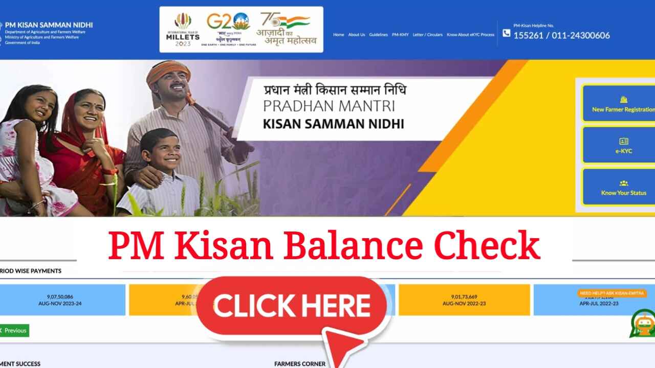 PM Kisan Balance Check